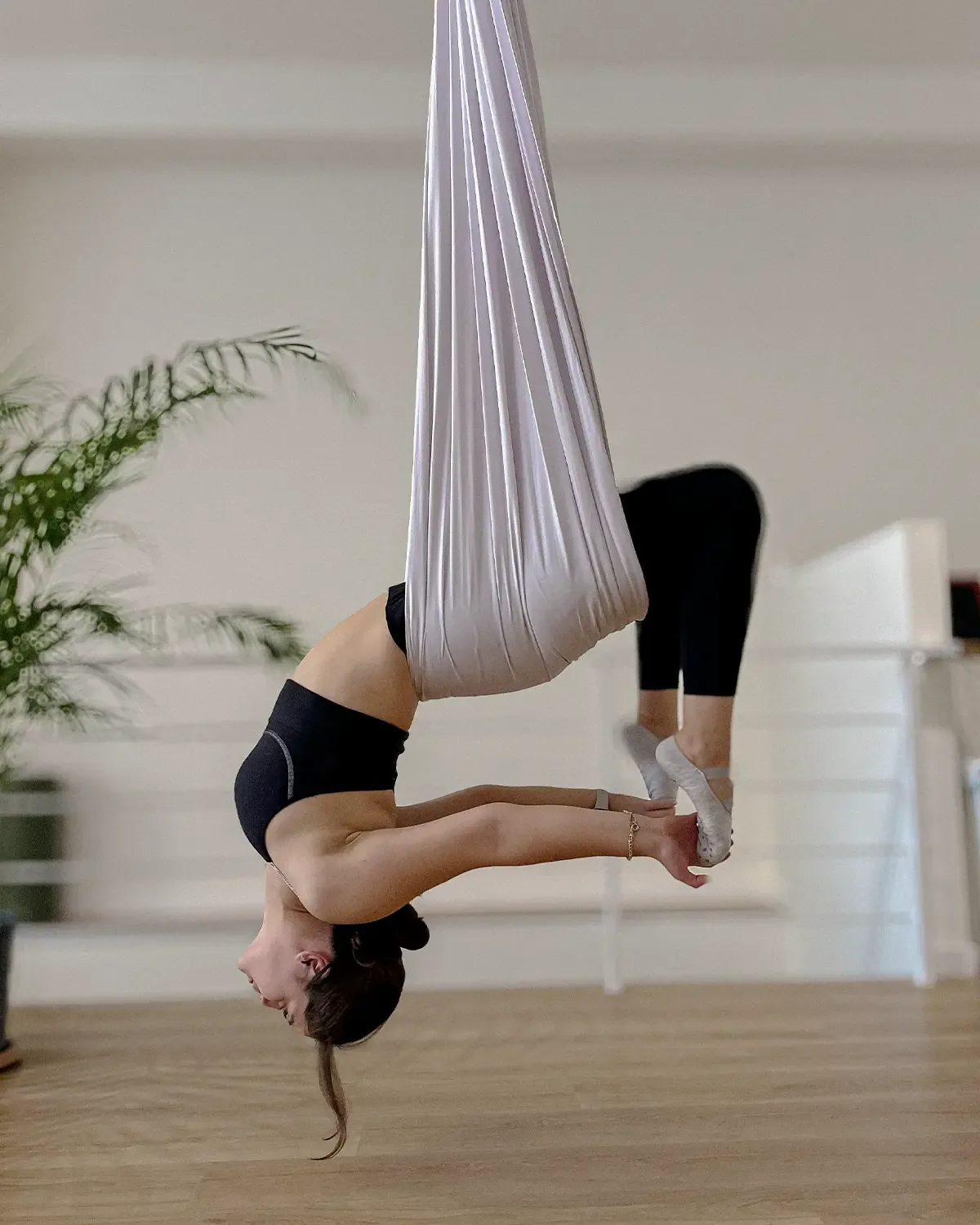 Movement practice with an aerial hammock